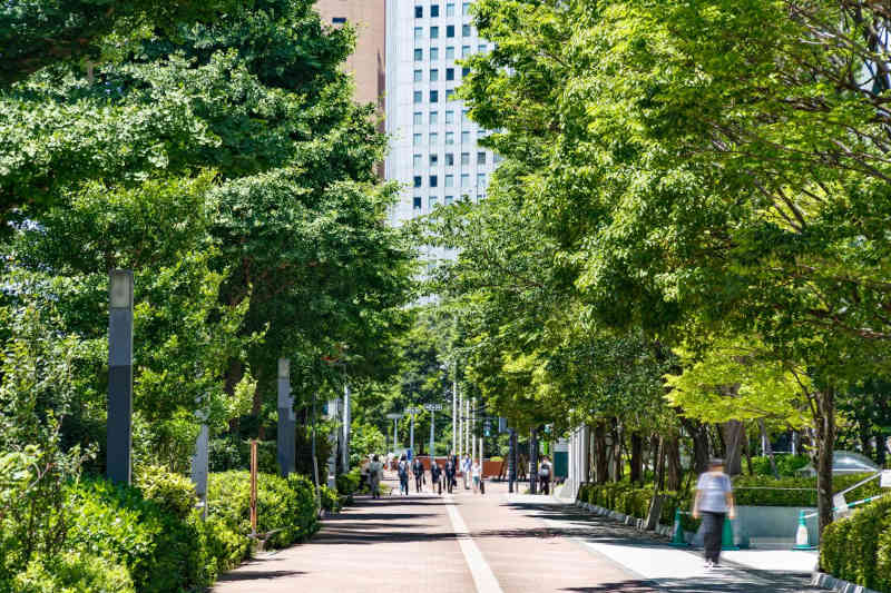 Verde urbano