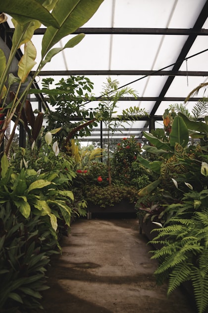 The Future of Landscape Design