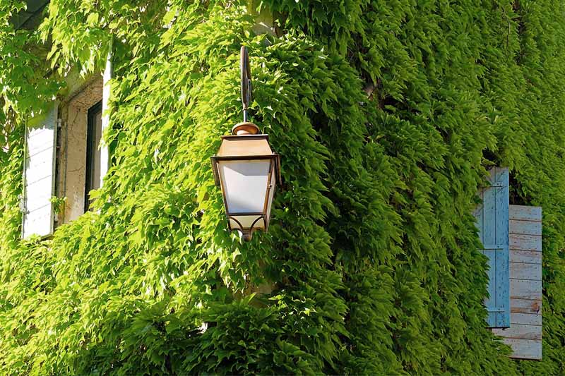 Cos’è il green building e quali vantaggi offre