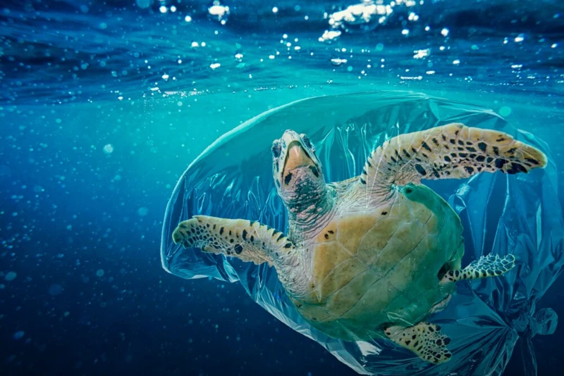 Come salvare il mare dalla plastica