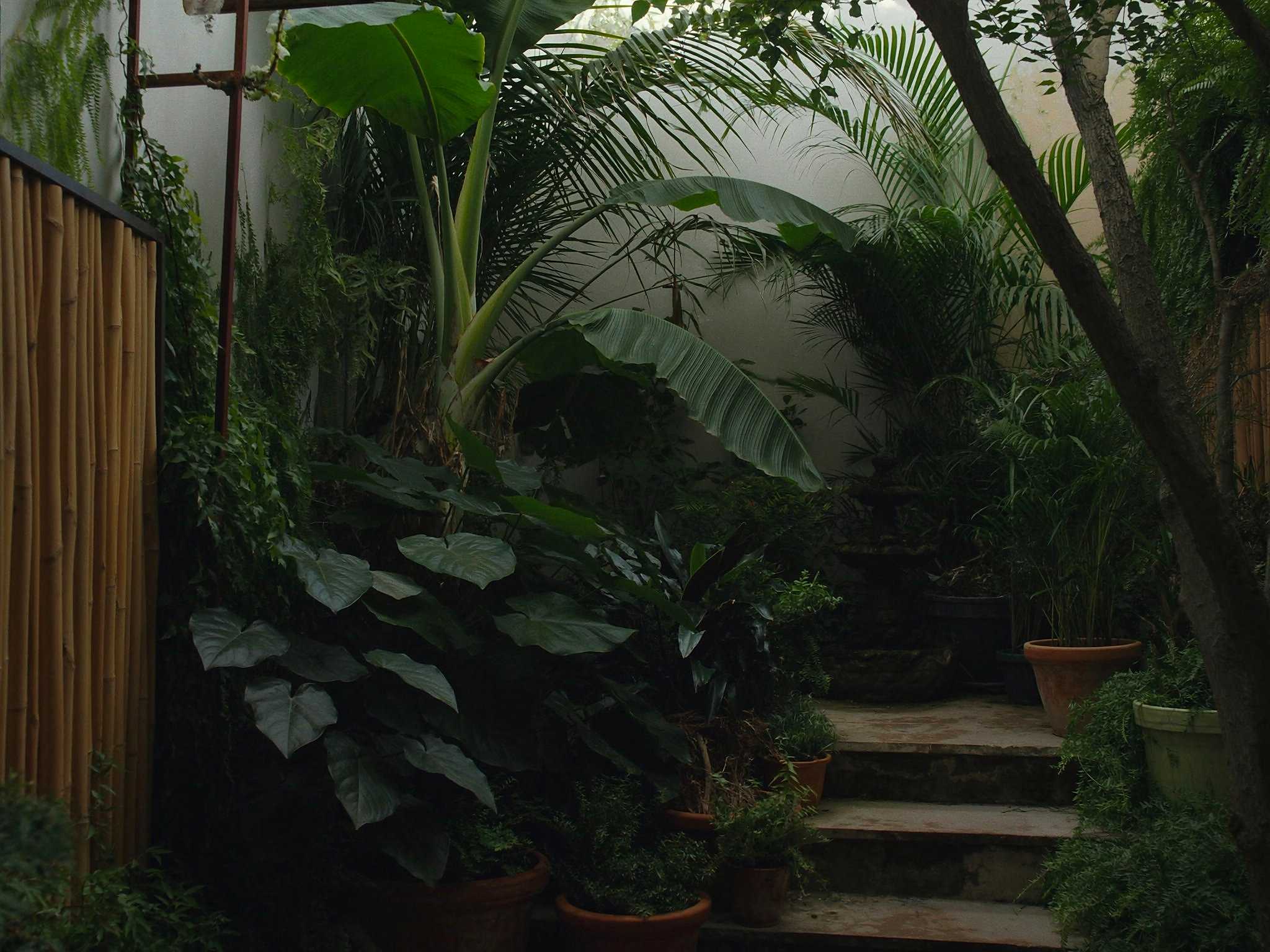 03.10 Urban Jungle