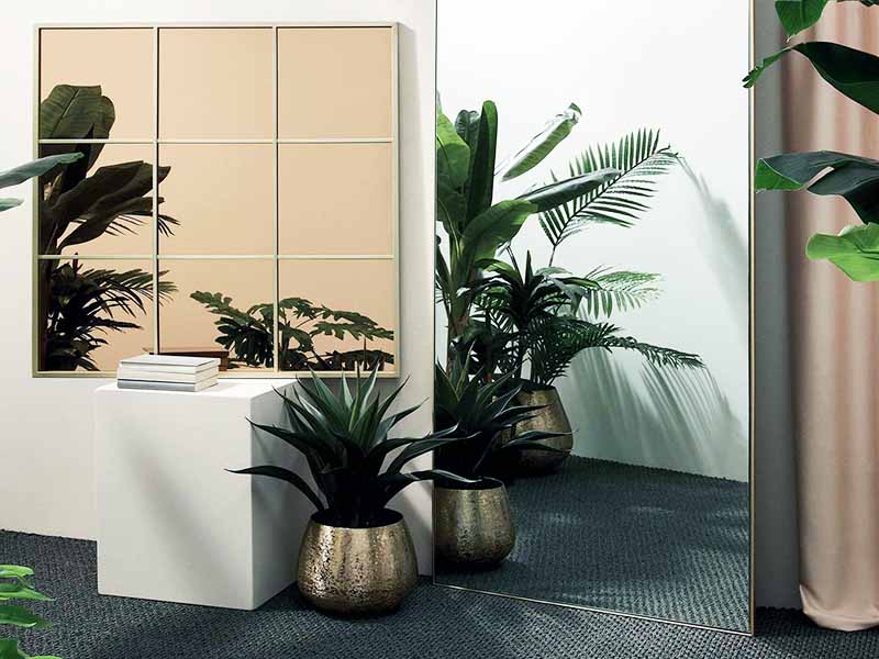 Specchi e superfici riflettenti