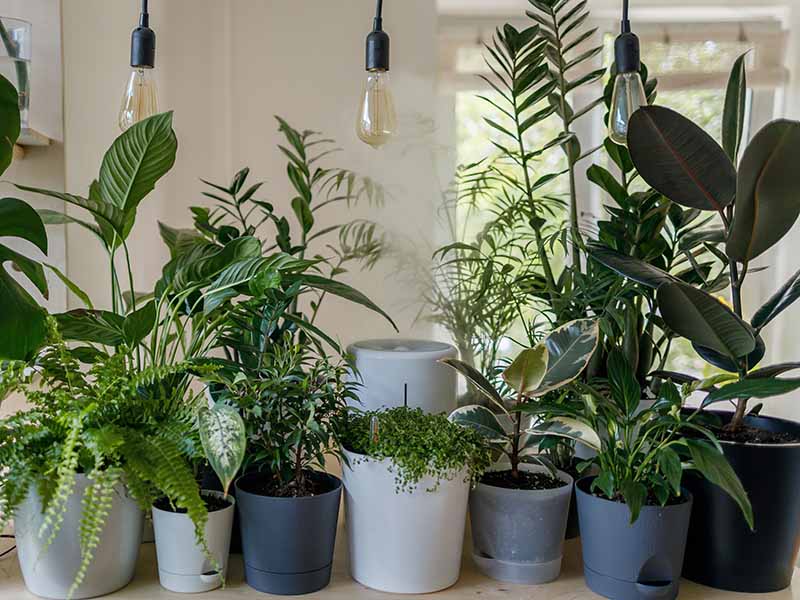 ARIA – Biophilia e sistemi di ventilazione e qualità dell’aria interna