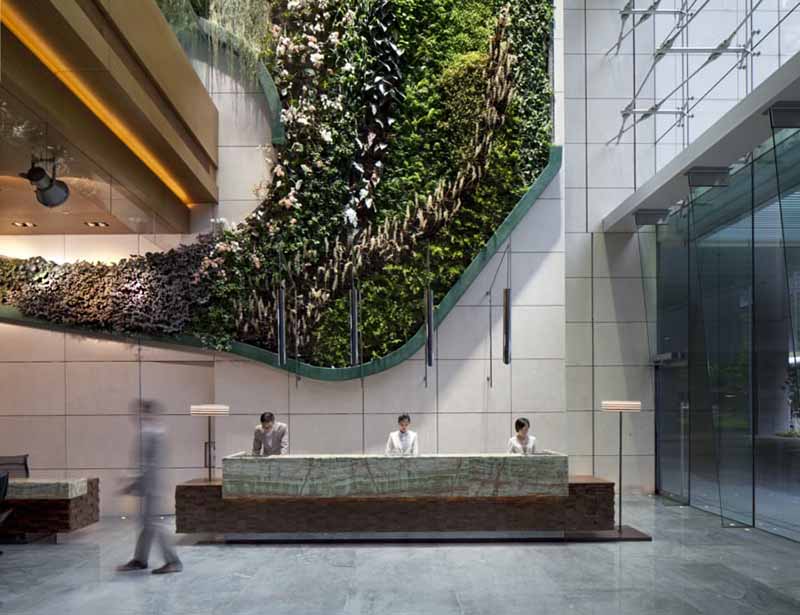 Biophilia nei Settori Retail e Ospitalità: gli ambienti di ospitalità che favoriscono il benessere del cliente