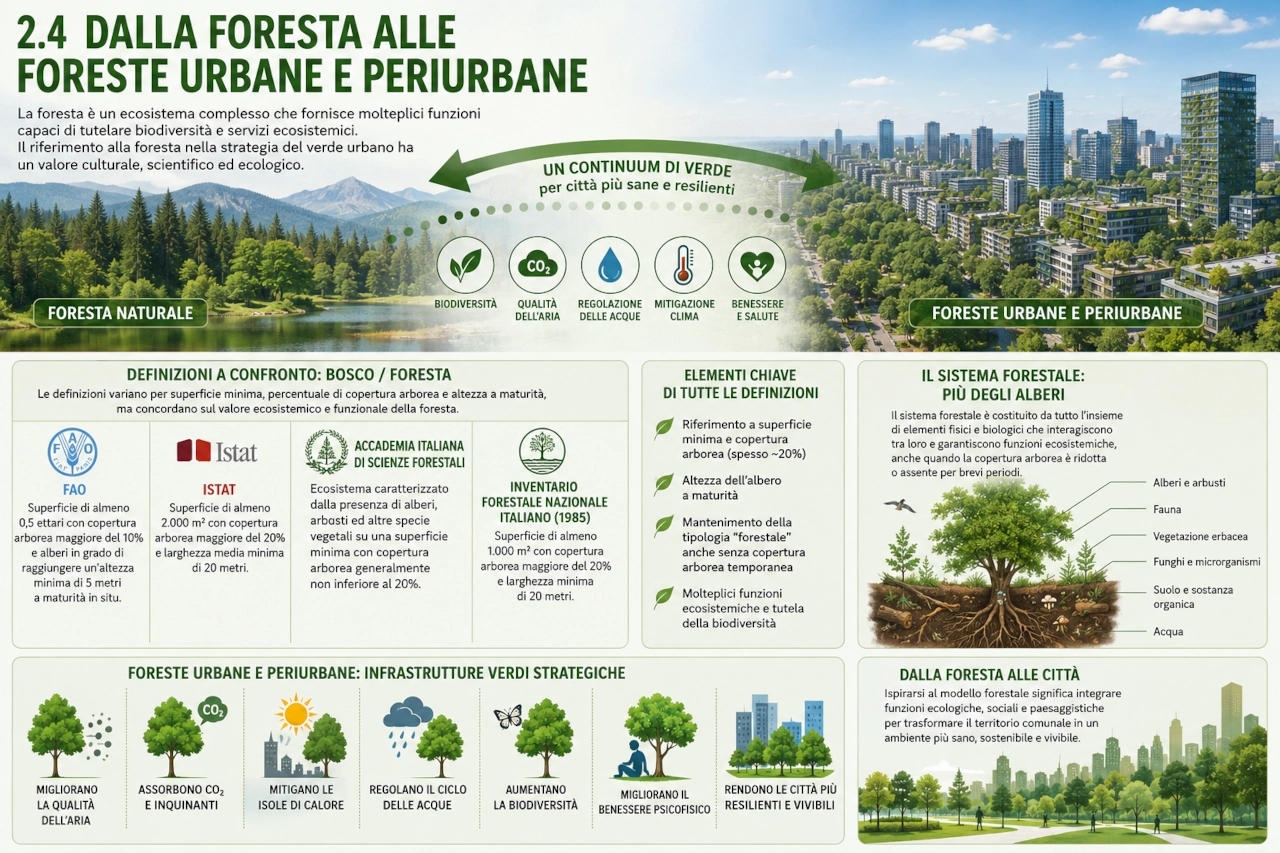 2.4 DALLA FORESTA ALLE FORESTE URBANE E PERIURBANE.