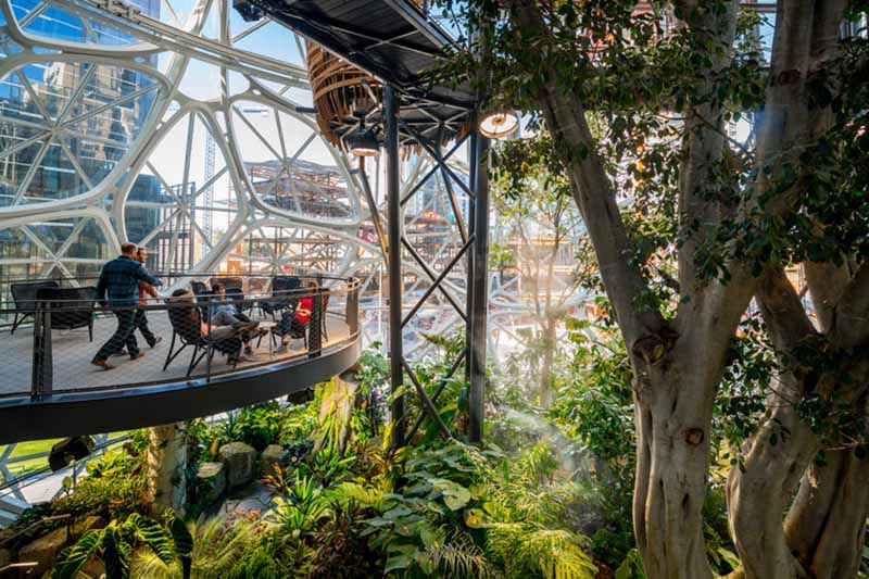 Esempi di successo: analisi di progetti biophilic iconici.