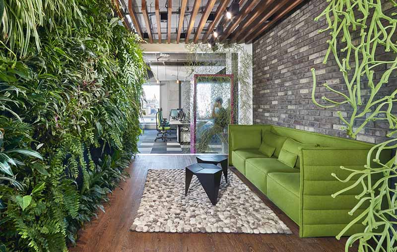 Ruolo individuale nella promozione della biophilia: come promuovere la biophilia nella propria comunità e luogo di lavoro
