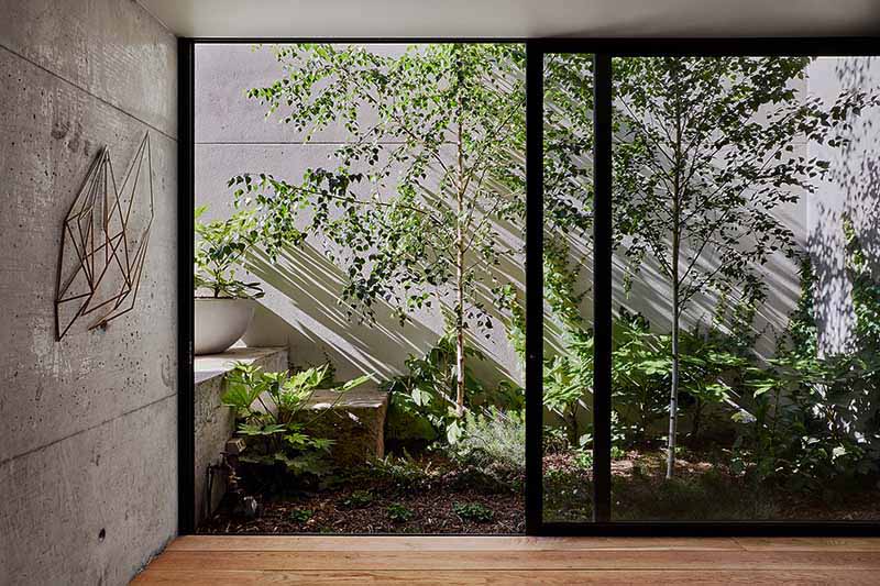Riflessioni sull’impatto personale e sociale della biophilia.