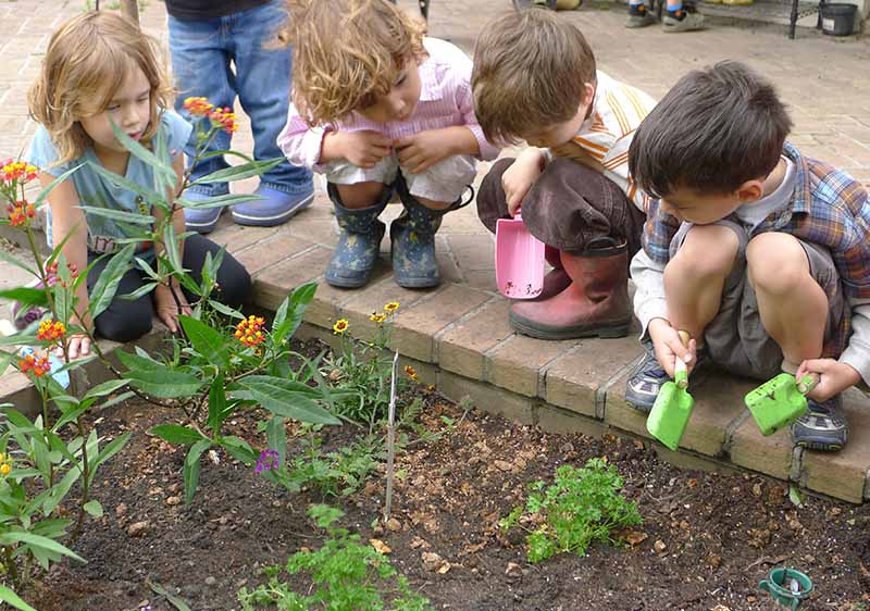 Biophilia in Ambiti Educativi: Creare Ambienti di Apprendimento Ispirati alla Natura.