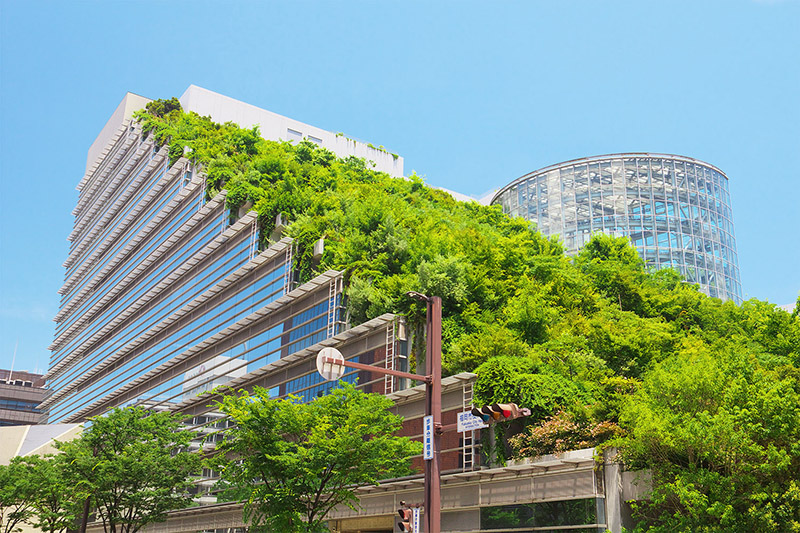 Biophilia come Driver della Sostenibilità: Riduzione dell’Impronta Ambientale attraverso la Biophilia