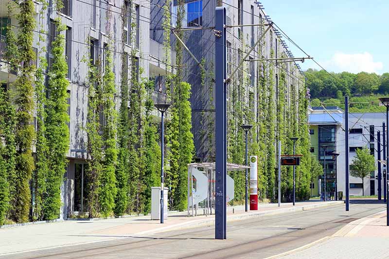 Certificazioni biophilic e progettazione sostenibile: introduzione a standard e certificazioni