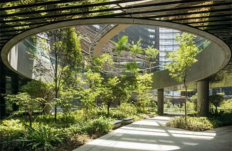 Processo di progettazione biophilic: analisi del sito e ricerca biophilic.