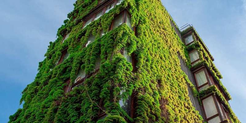 Processo di progettazione biophilic: creazione di concept biophilic per progetti specifici.