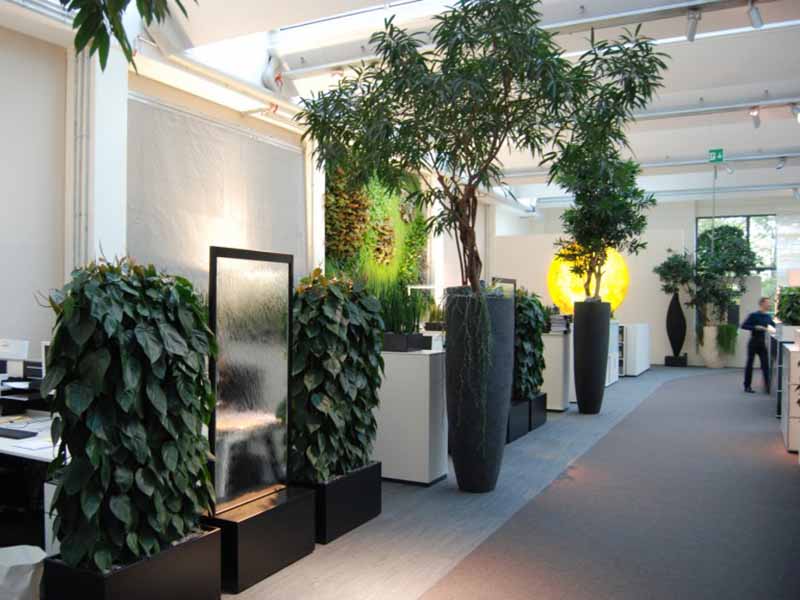 Case study – Esercitazione: i partecipanti sviluppano un Concept Biophilic per uno spazio reale.