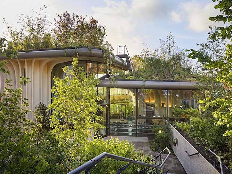 Tendenze e innovazioni: nuovi sviluppi nella progettazione biophilic.