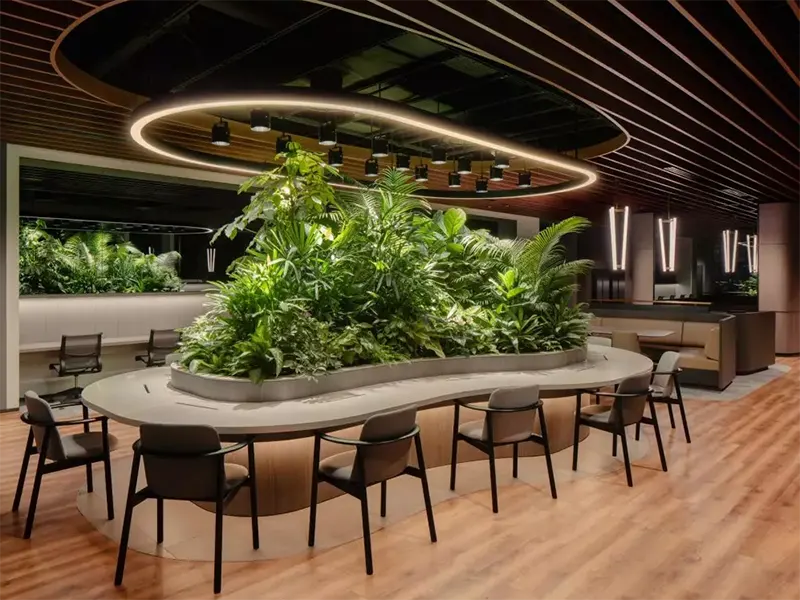 Tendenze e innovazioni: il futuro della biophilia in diversi settori.