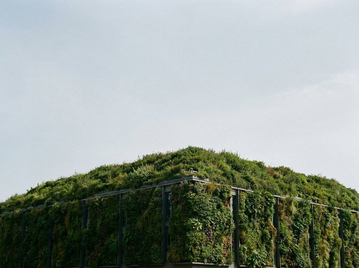 Tetti verdi, pareti vegetali e infrastrutture verdi urbane