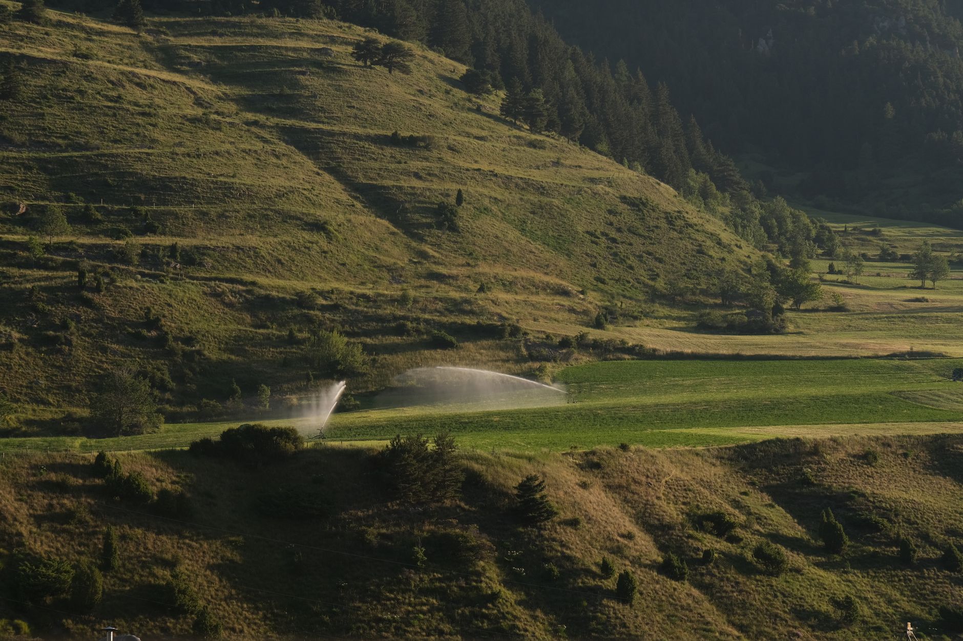 L’acqua sprecata che potrebbe salvare i nostri campi: solo il 4% dei reflui depurati viene riusato in Italia (e potrebbe coprire il 45% del fabbisogno irriguo)