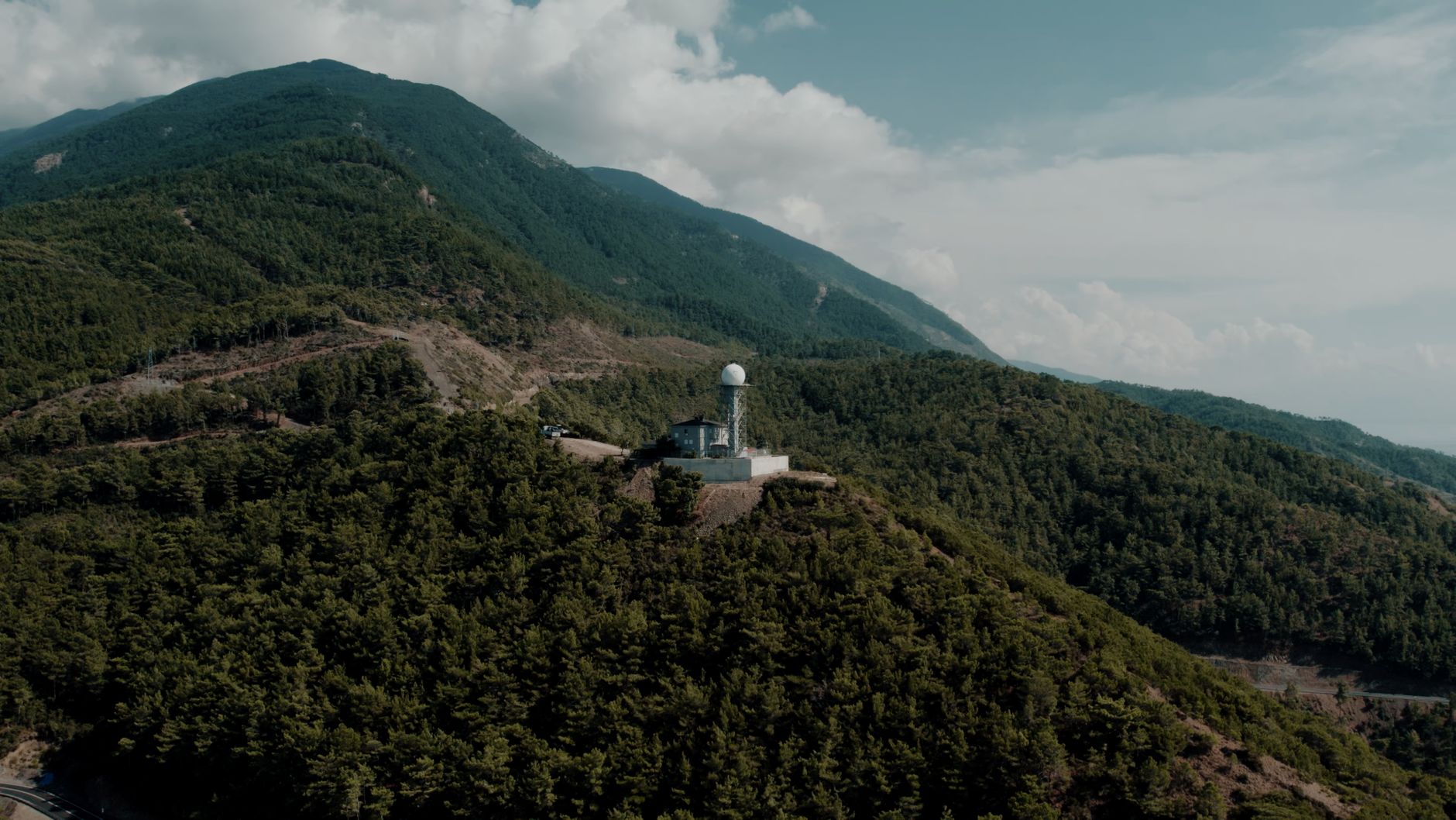 Il suono della foresta che muore: come l’ecoacustica rivela la perdita di biodiversità prima che sia troppo tardi