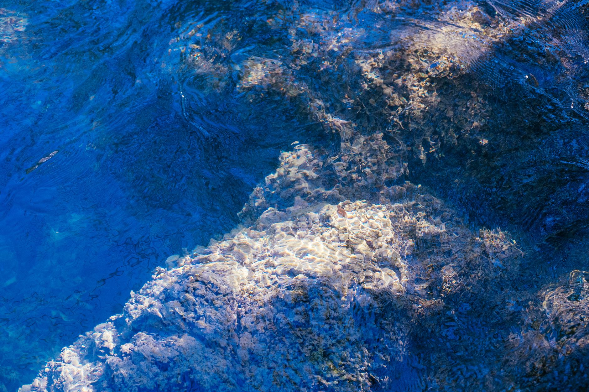 Il rumore del silenzio: come l’inquinamento acustico sottomarino sta cancellando la biodiversità dei fondali mediterranei