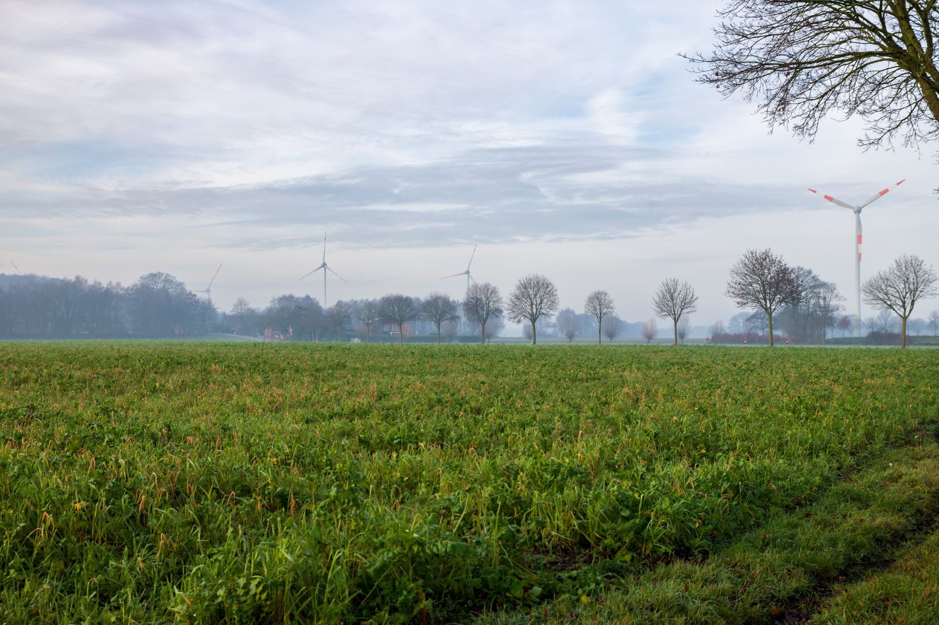 Sostenibilità ambientale: non più un’opzione, ma l’unica strada percorribile