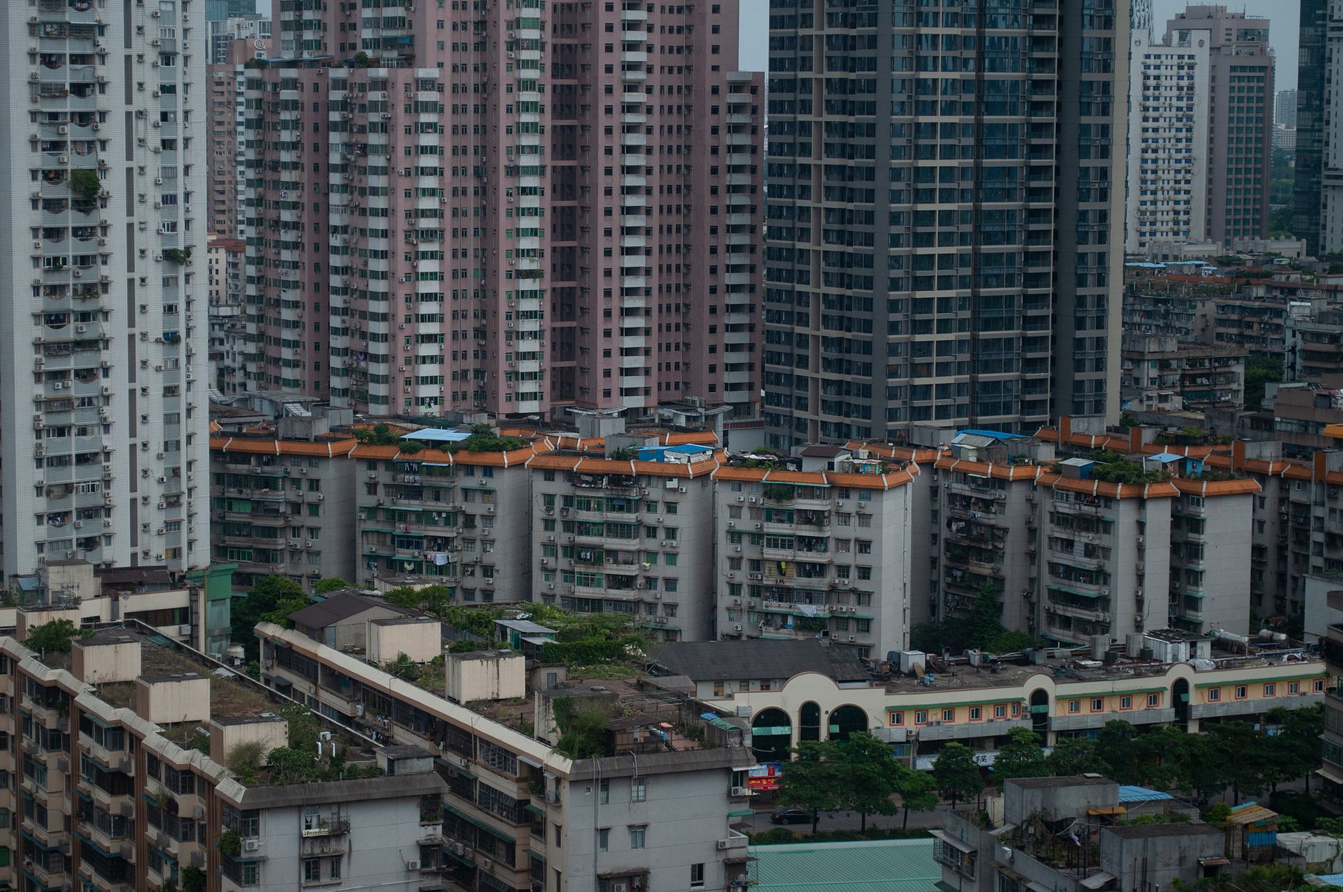 Tetti verdi intensivi: come Milano e Rotterdam stanno usando i tetti degli edifici per abbattere le temperature urbane di 4°C
