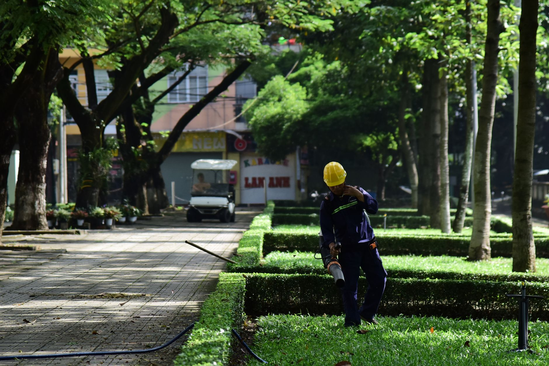 Giardini urbani e qualità dell’aria: il design conta quanto le piante