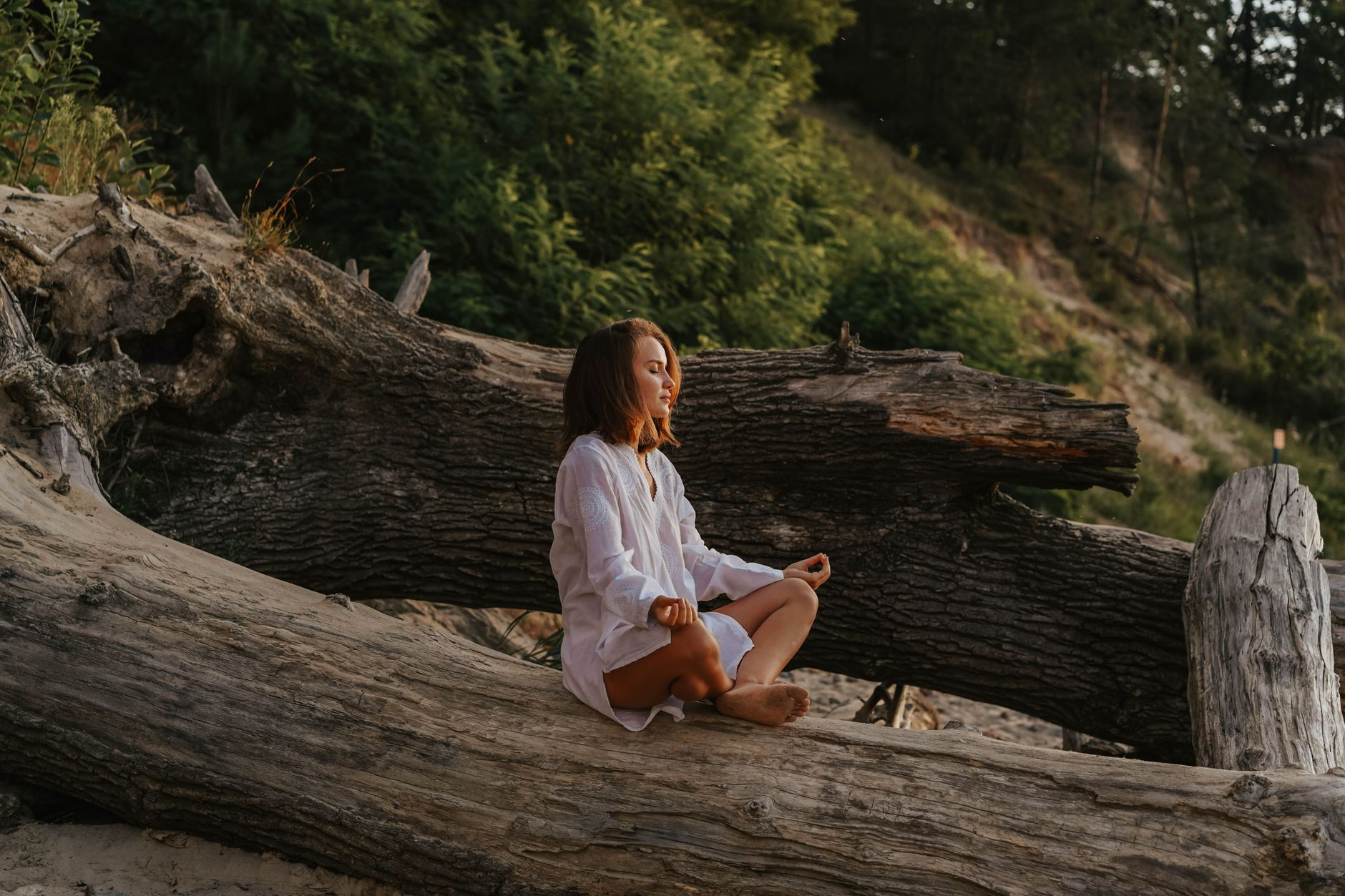 Mindfulness in natura: una review sugli effetti per la salute mentale