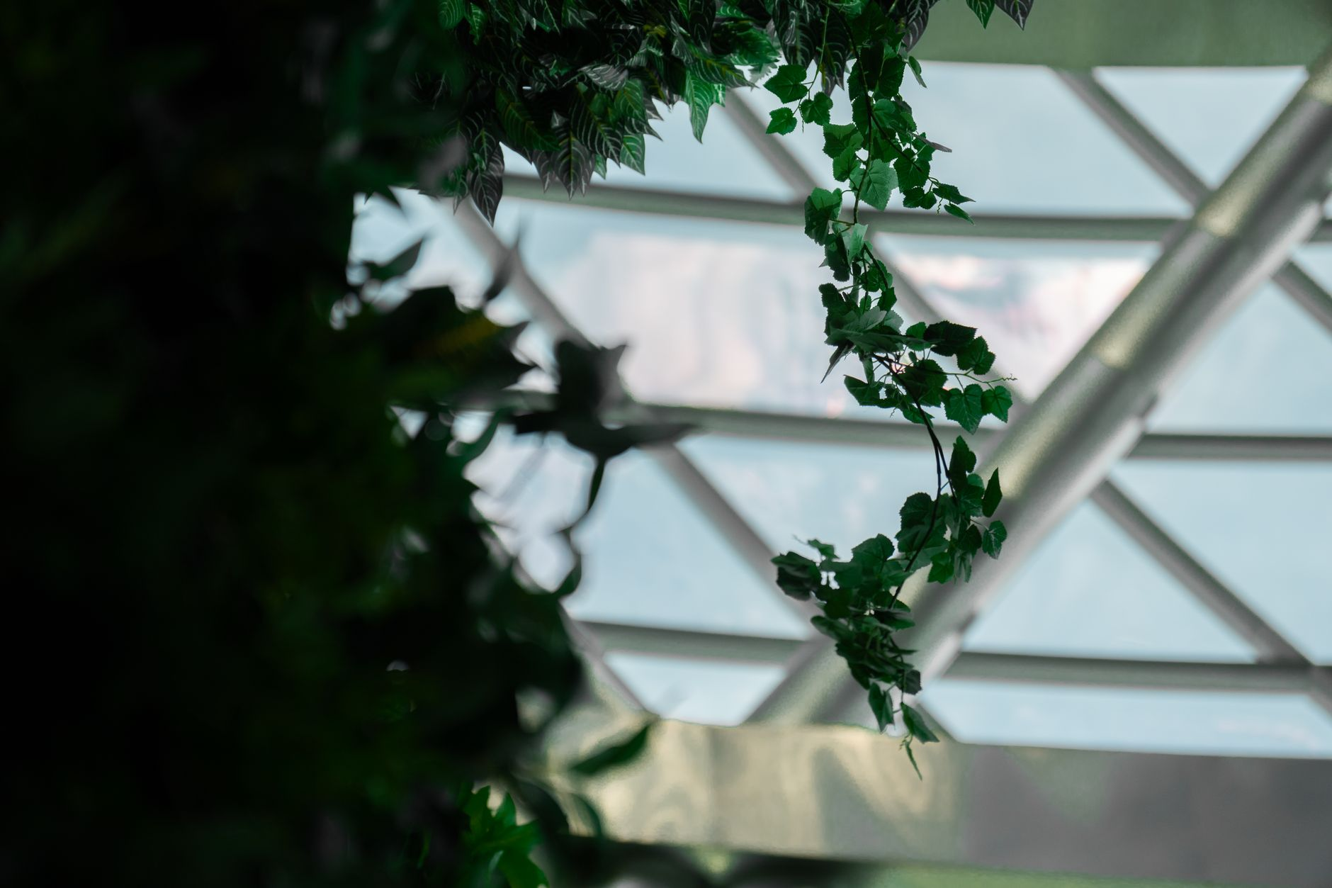 Architettura e neurogenesi: progettare per la resilienza allo stress