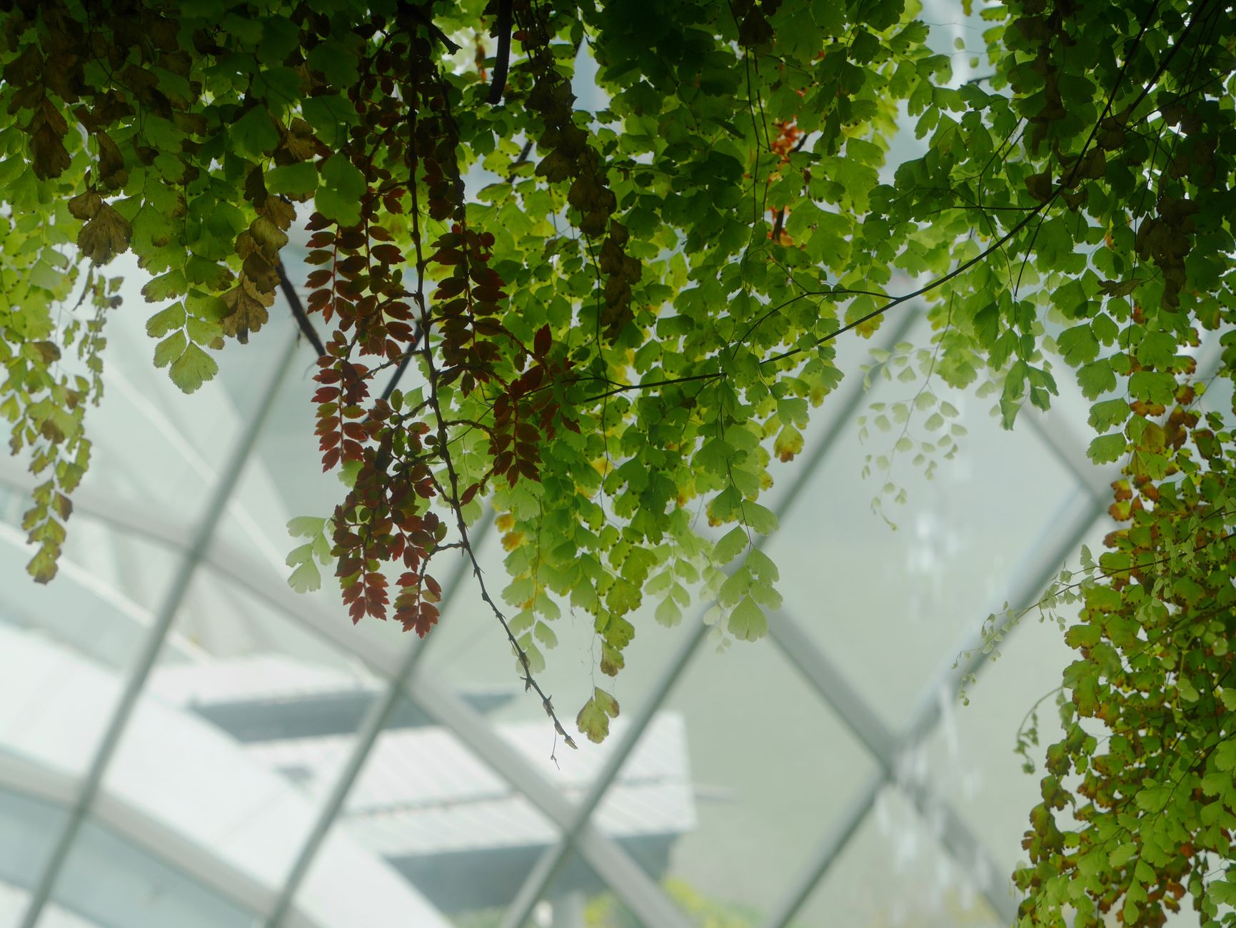 biomimetic interior architecture nature