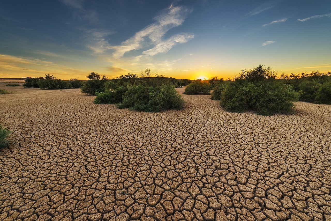 L’acqua che non vediamo: come l’umidità del suolo sta diventando la nuova frontiera della siccità nascosta in Italia