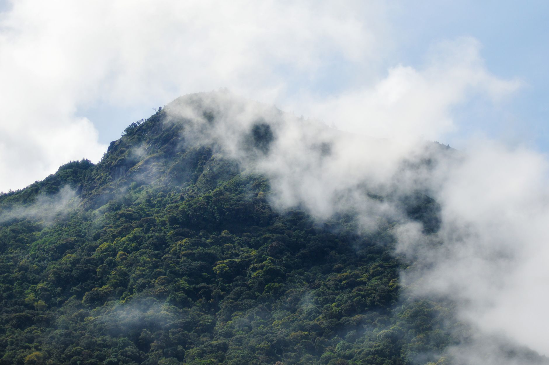 Nebbia come acqua: come i sistemi di captazione atmosferica stanno dissetando le comunità montane italiane senza toccare un acquifero