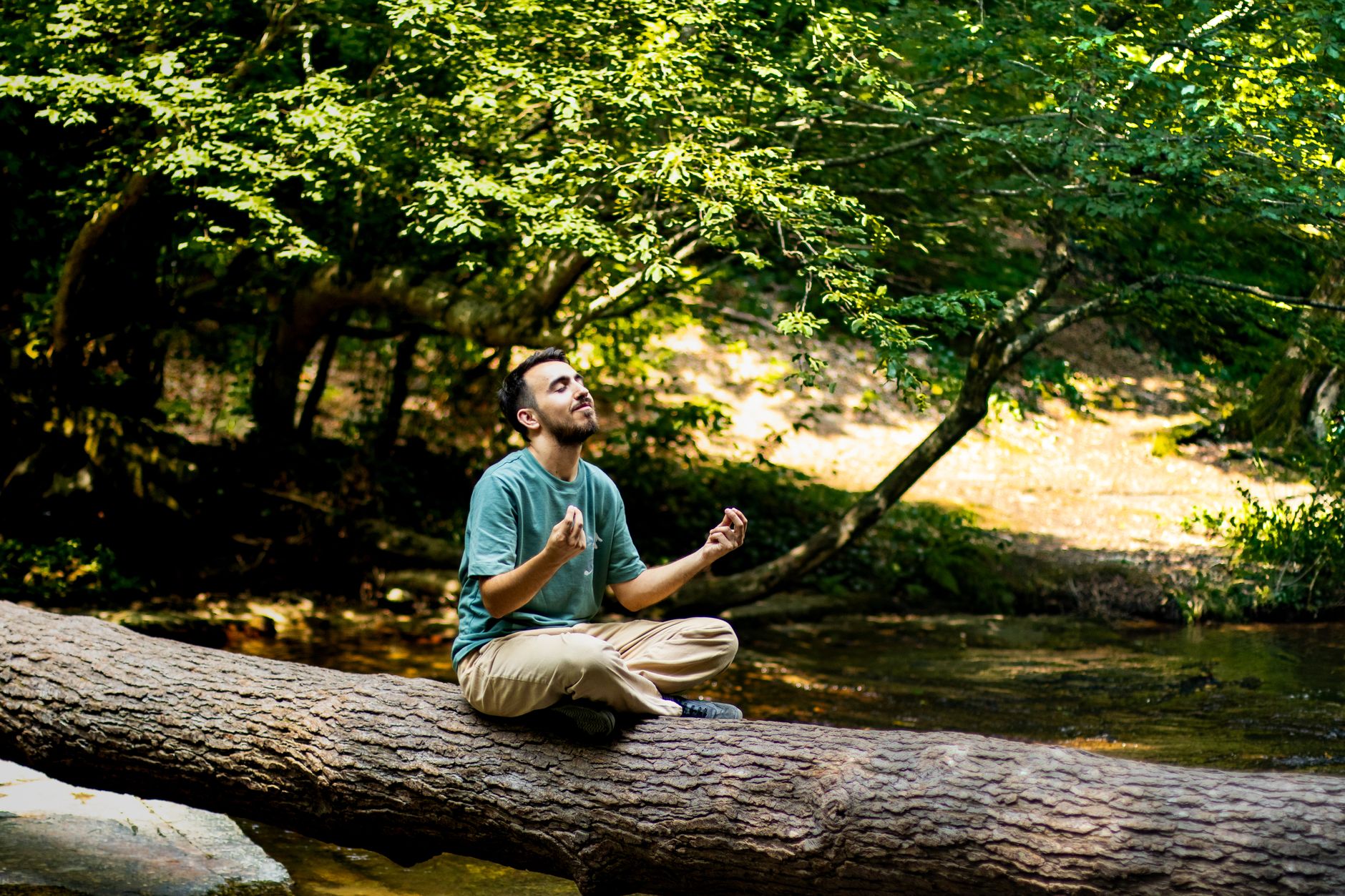Quando il corpo riconosce un albero: la neuroscienza della biofilia che spiega perché la natura non è un lusso ma un bisogno biologico