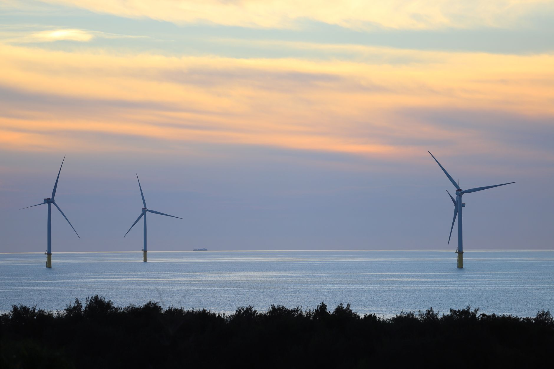 Il vento che soffia sotto il mare: l’eolico galleggiante cambia le regole del gioco energetico in Mediterraneo