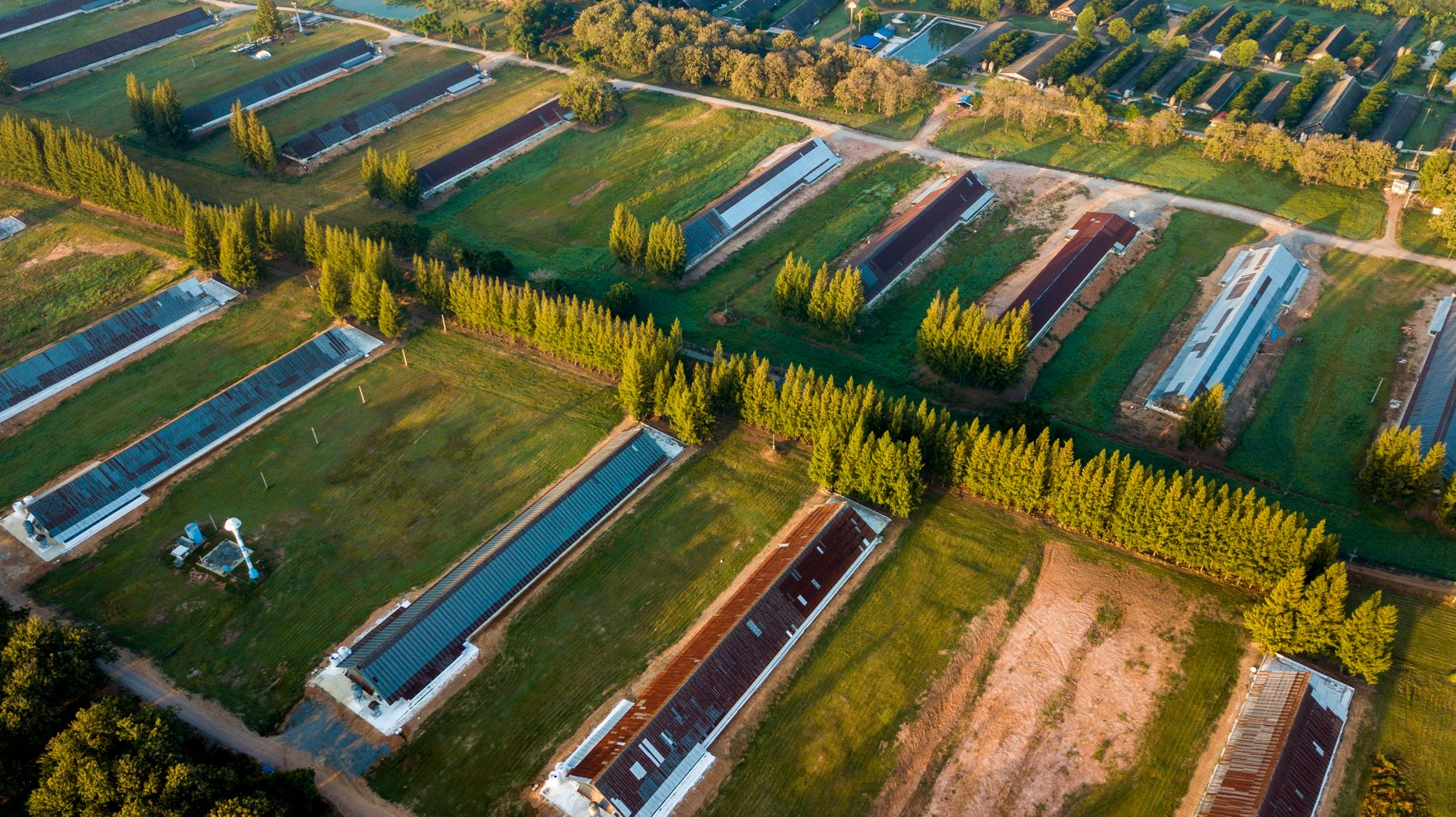 Agrivoltaico dinamico: quando i pannelli solari imparano a seguire il sole senza rubare terra all’agricoltura