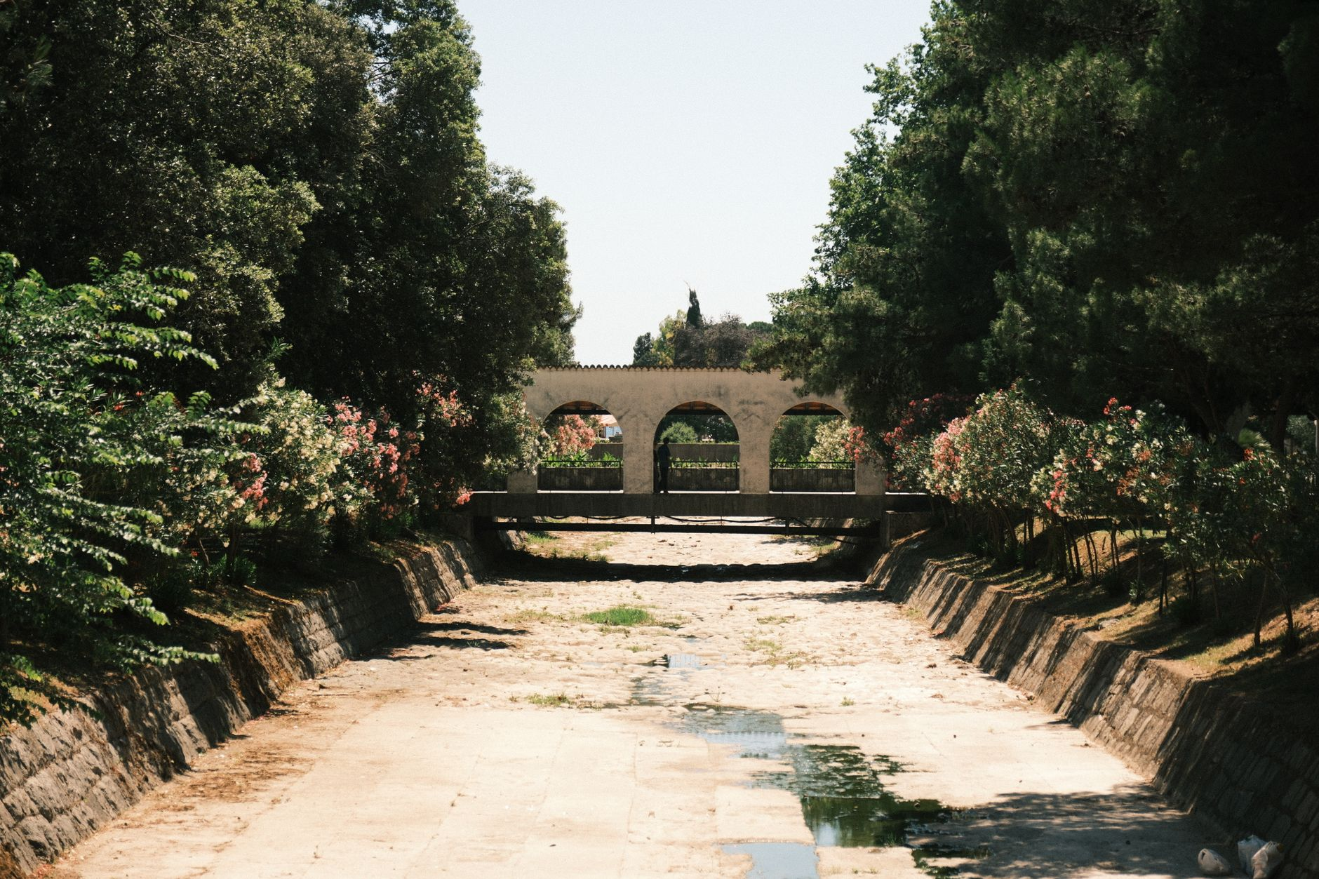 Xeriscaping mediterraneo: come i progettisti italiani stanno ridisegnando i giardini privati per sopravvivere a estati con zero pioggia