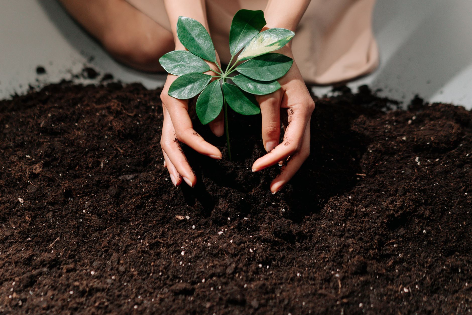 Il suolo che vale miliardi: come la bioeconomia circolare sta trasformando i campi degradati italiani nella vera infrastruttura verde del futuro