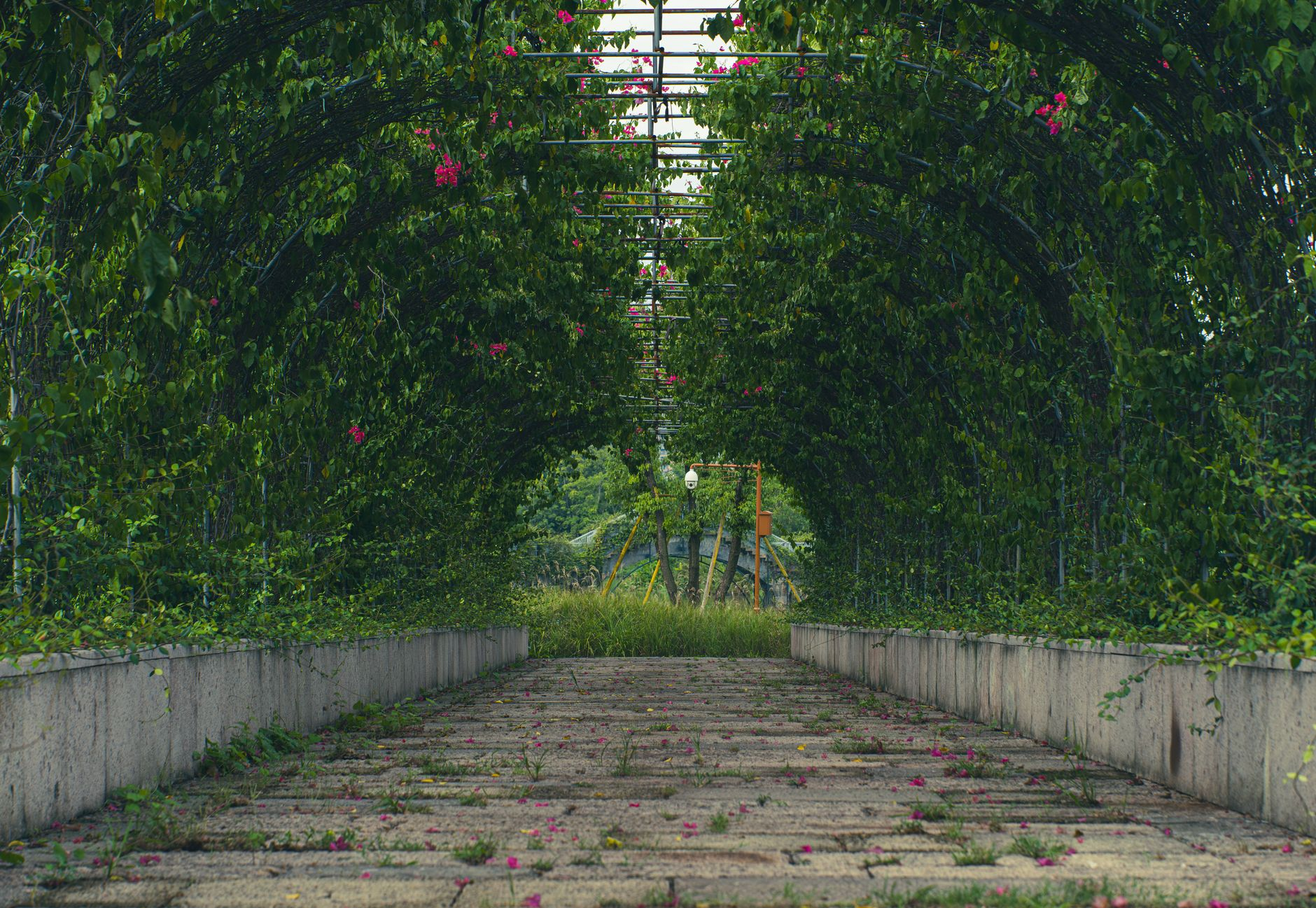 Corridoi ecologici urbani: come Milano sta ricucendo il tessuto verde con 47 km di infrastruttura naturale