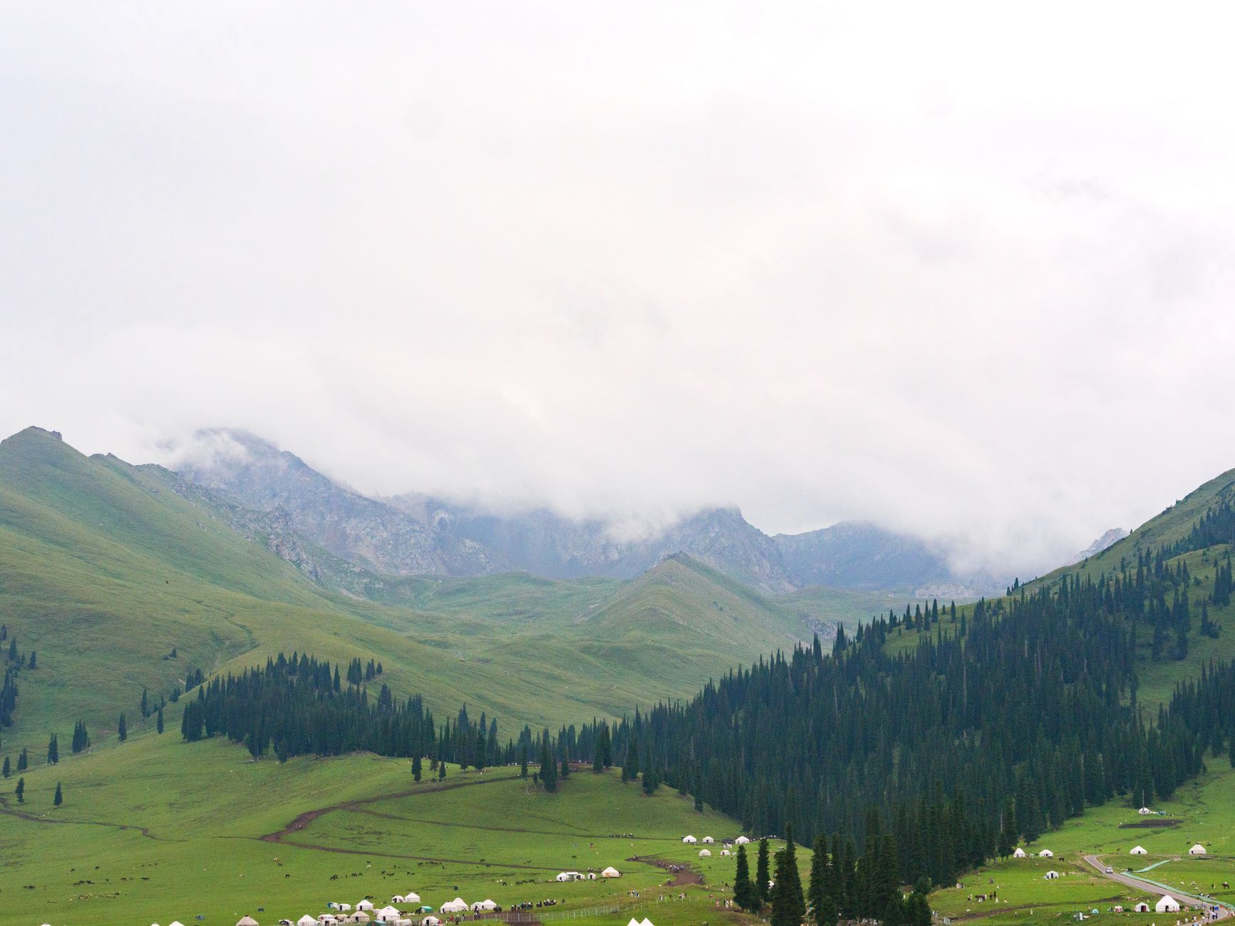 Yellow River grassland landscape China
