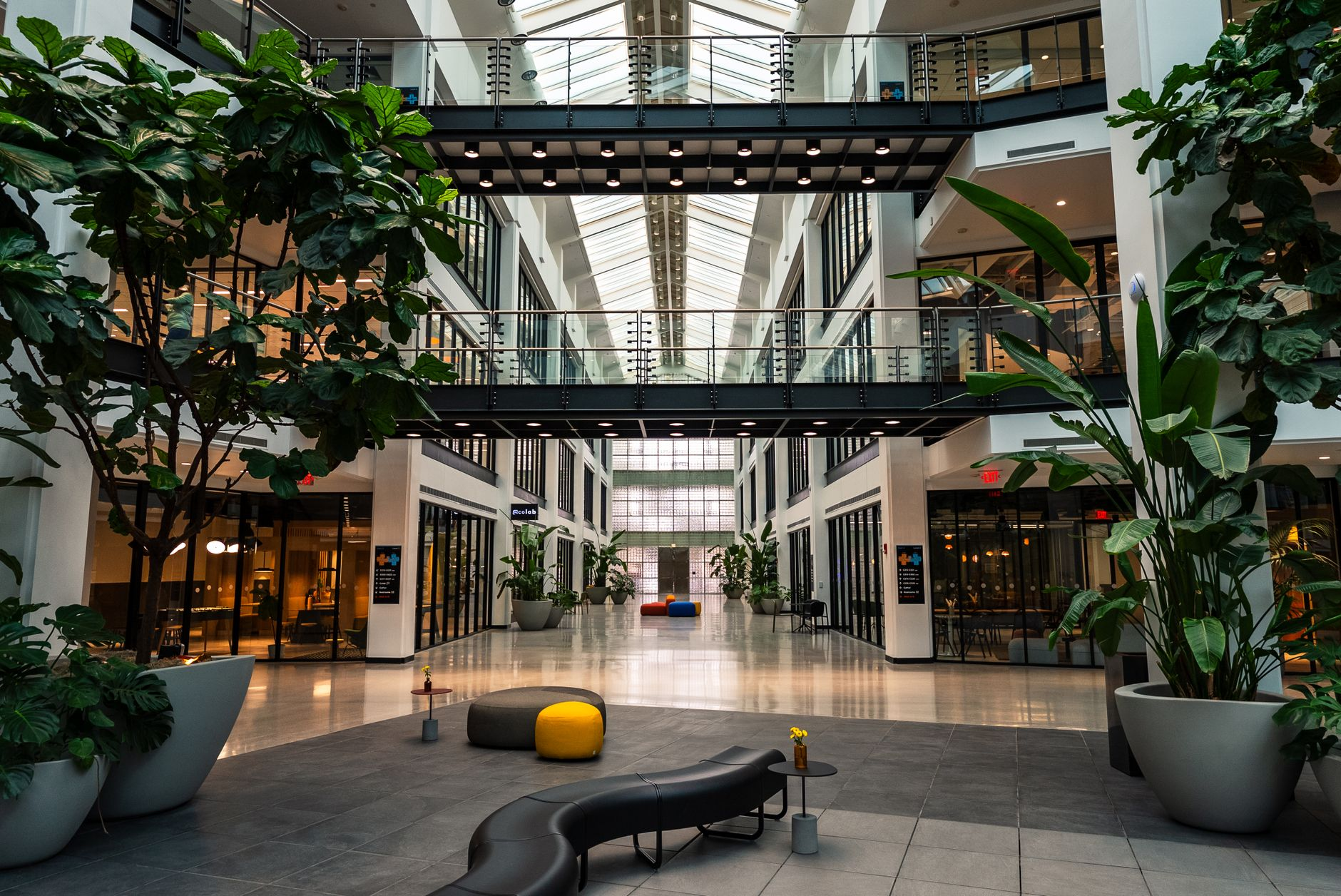 biophilic open plan office