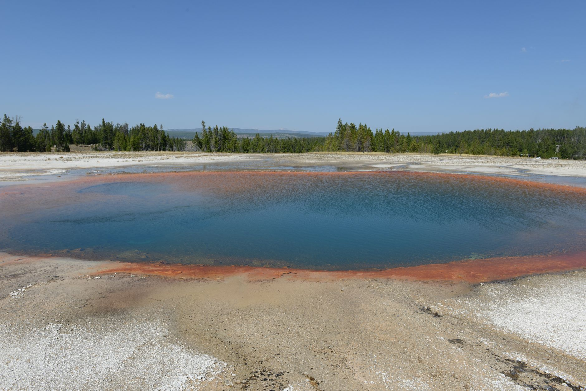 Il sale che avvelena il futuro: come la salinizzazione delle falde costiere italiane sta divorando in silenzio le riserve d’acqua dolce dell’Adriatico