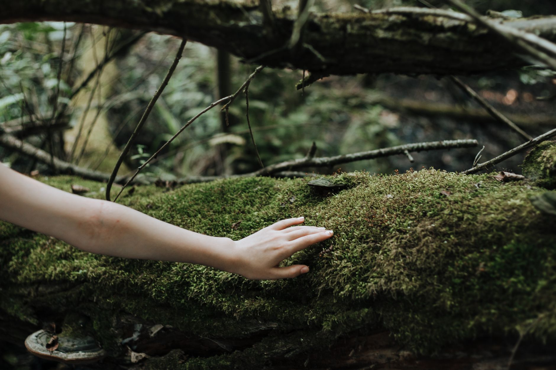 Il tatto che guarisce: come la texture della corteccia degli alberi attiva il sistema nervoso parasimpatico e perché i neurologi giapponesi l’hanno misurato con elettrodi