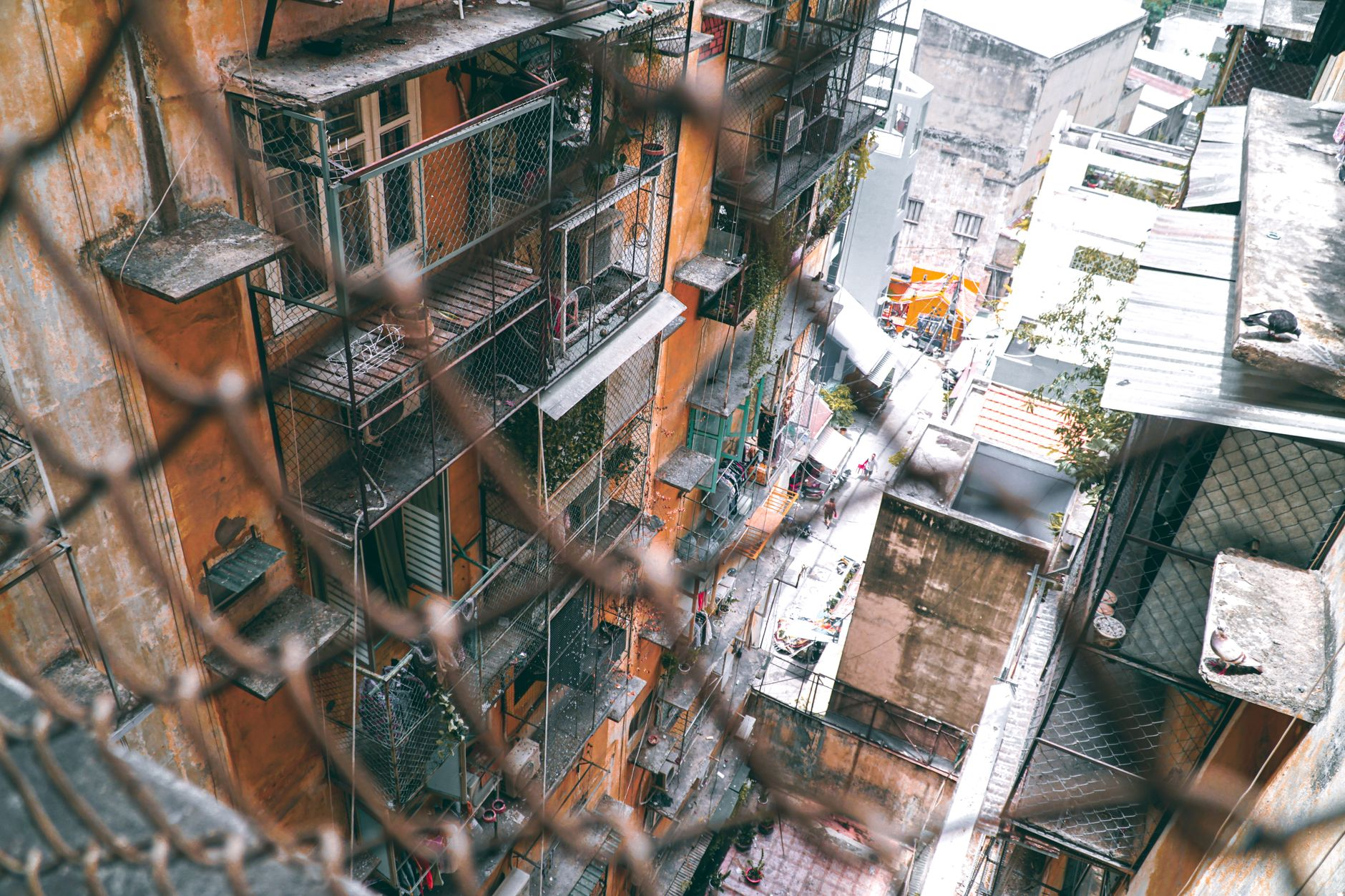 Il cielo che torna giù: come le reti di condensazione atmosferica sui tetti milanesi stanno trasformando la nebbia urbana in irrigazione per i parchi