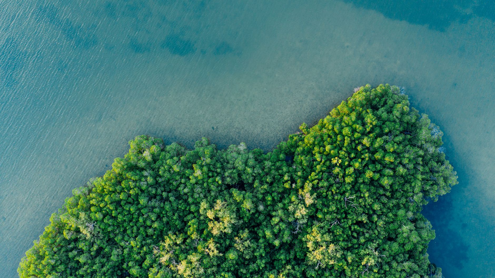 corporate green investment biodiversity