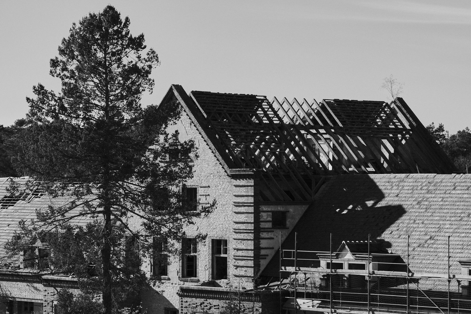 reconstructed wood sustainable building