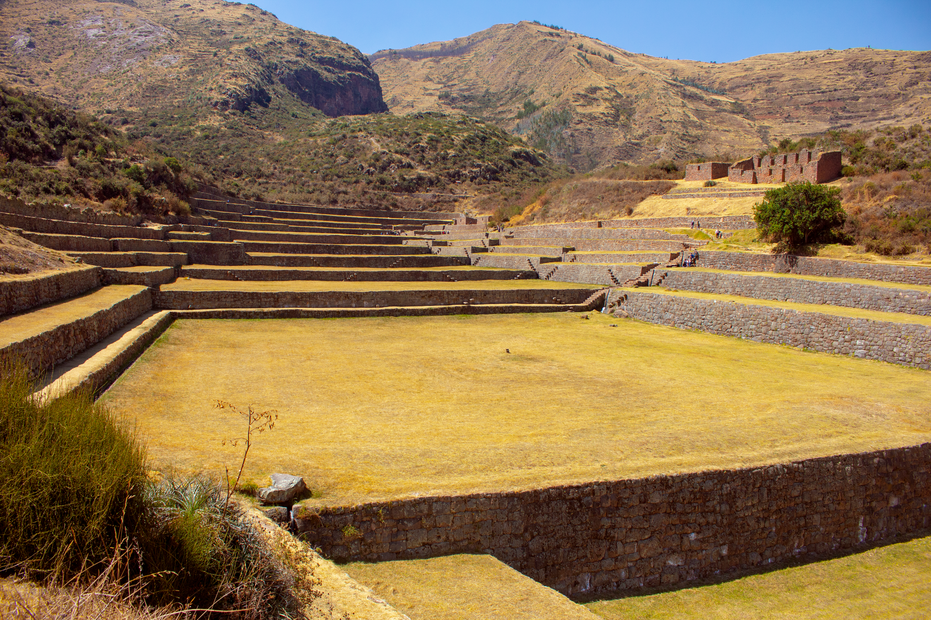 Andean native potatoes terraces Peru