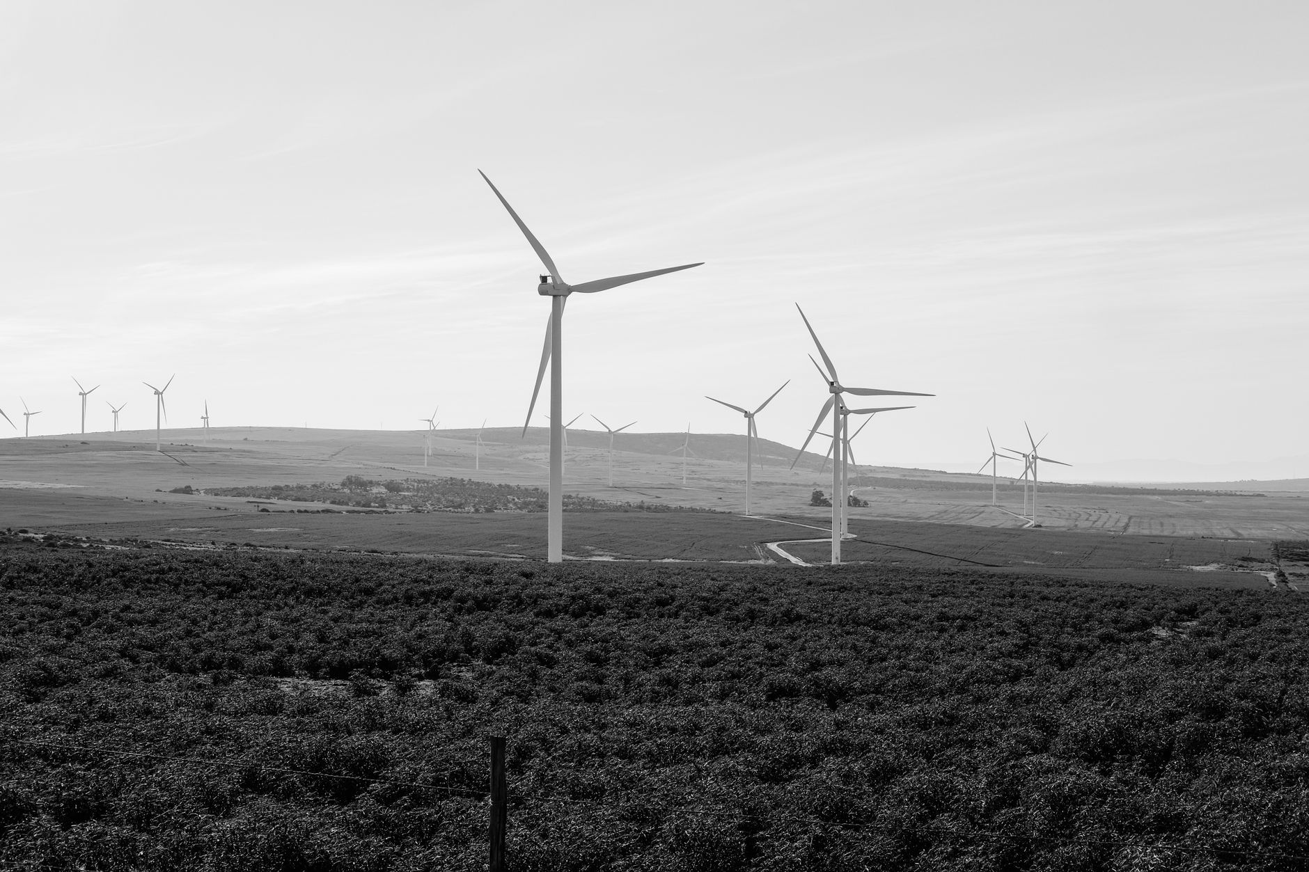 green bonds renewable energy Africa