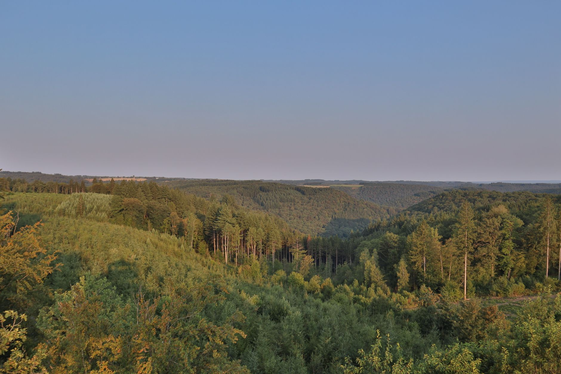 European wildlife corridor landscape