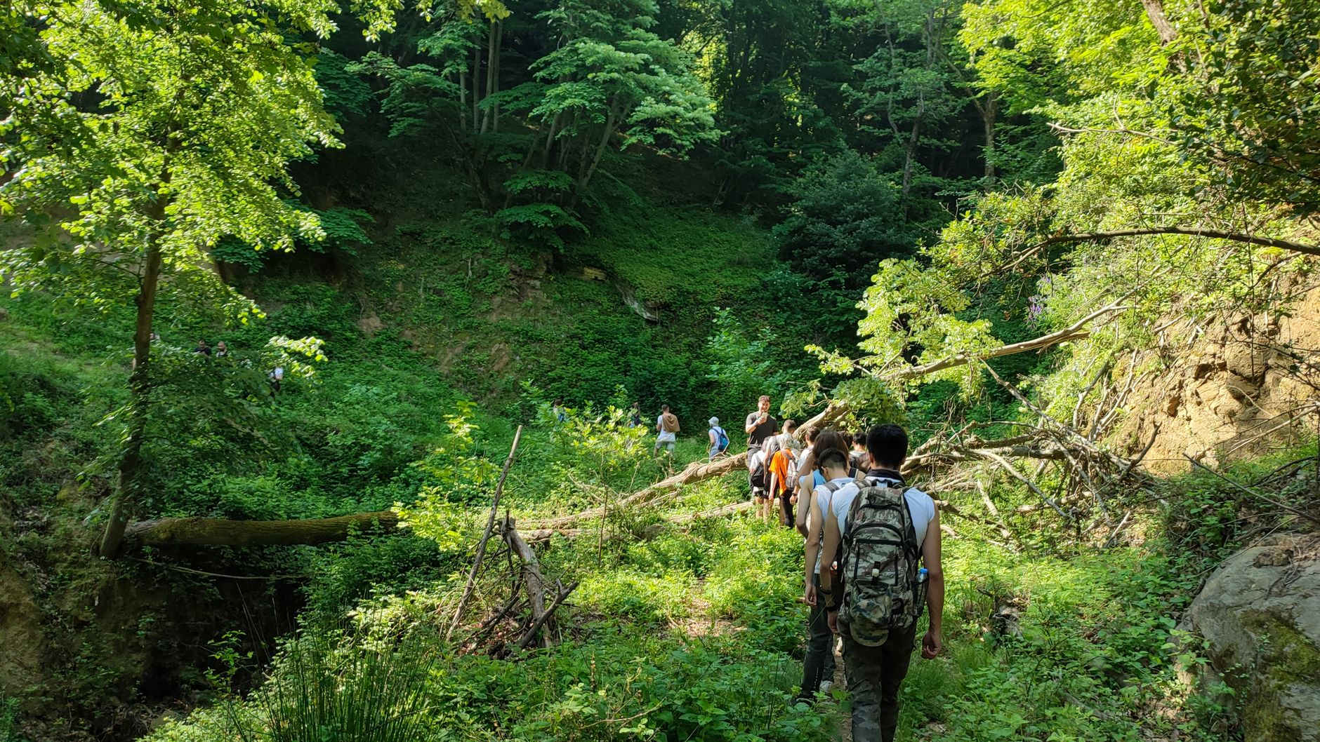 nature outdoor physical activity hiking
