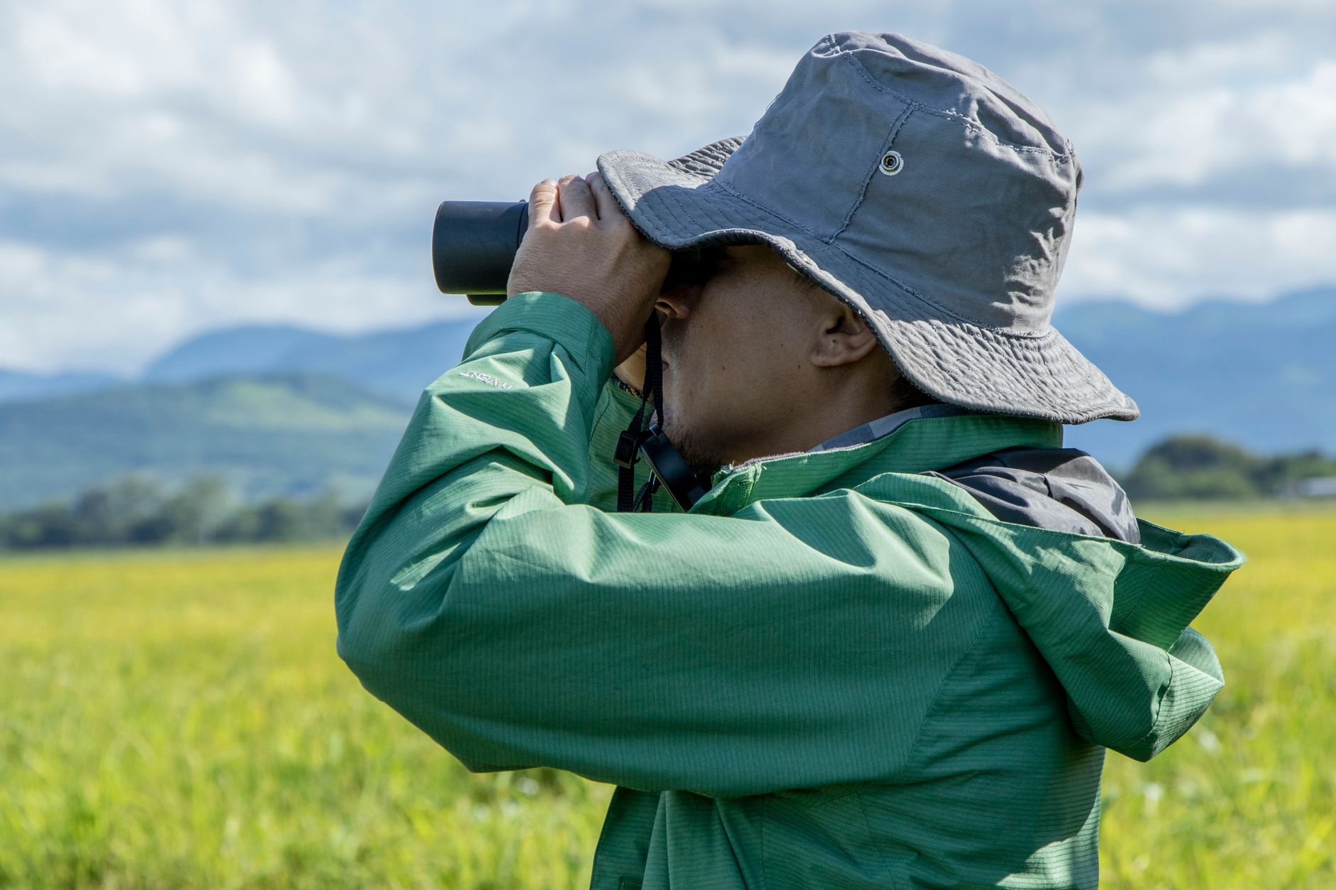 birdwatching binoculars nature observer